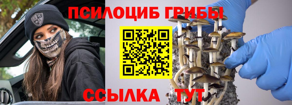 Кисловодск  Галлюциногенные грибы Cubensis  Вход с VPN 